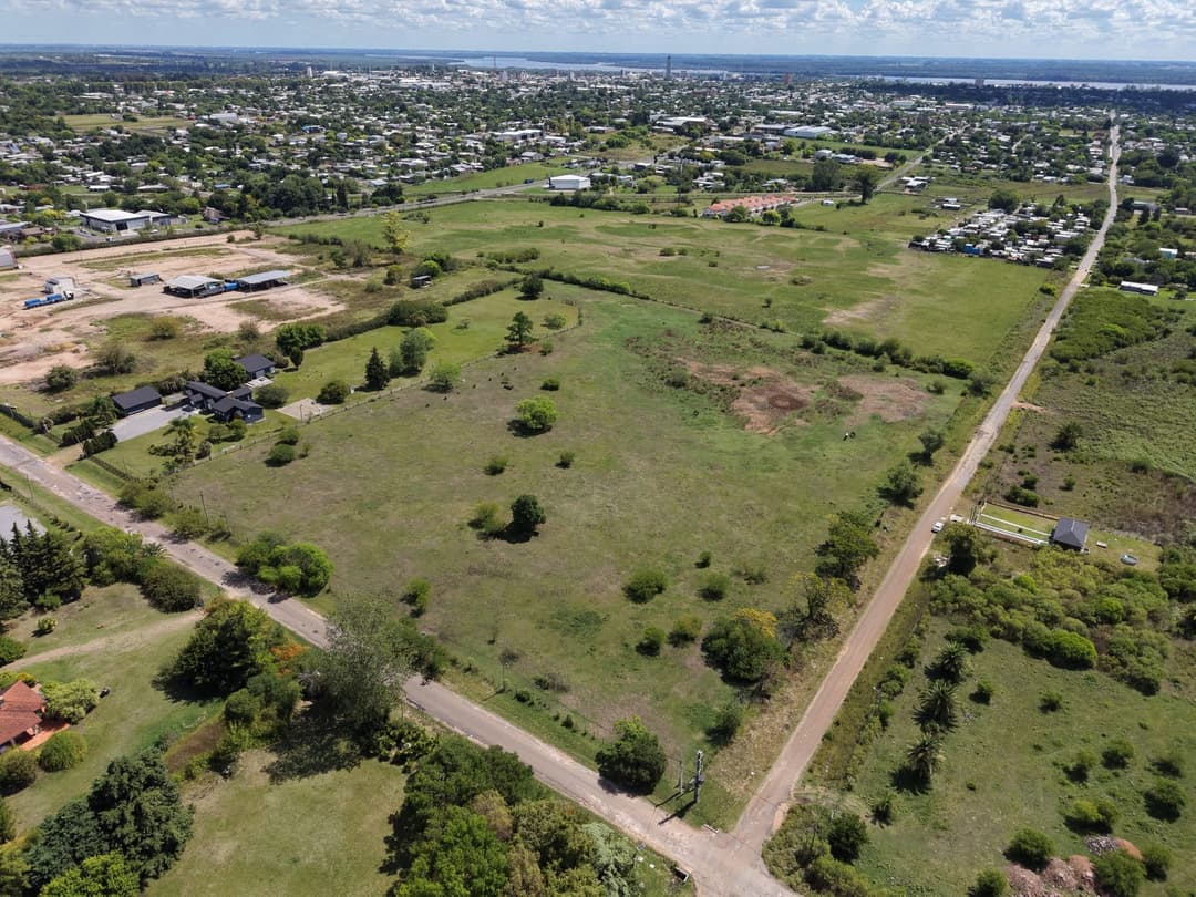 Campo Alto — vista 2