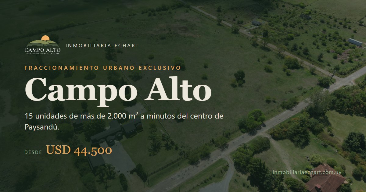 Campo Alto